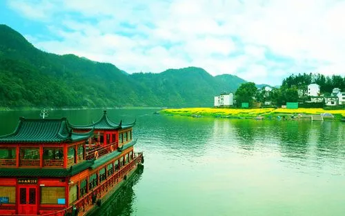 创新高标准科技